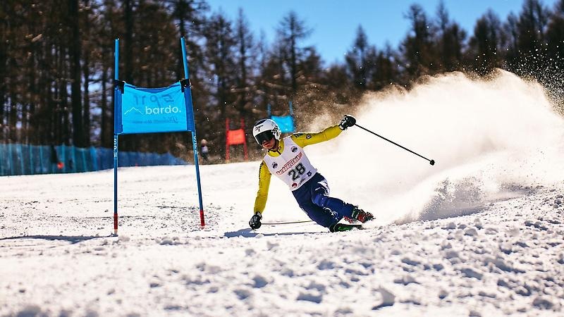 Alvin i backen