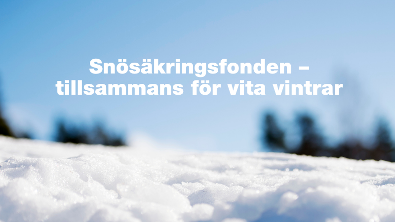En bild